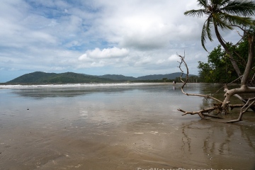 Daintree-Beach-Walk