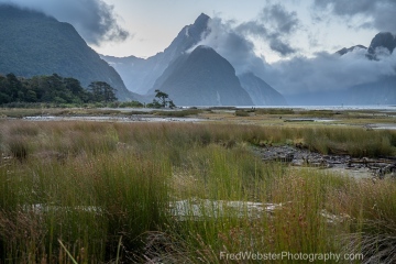 Milford-Sound-Evening-Morning