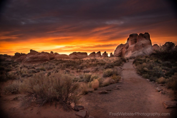 dawn in the desert