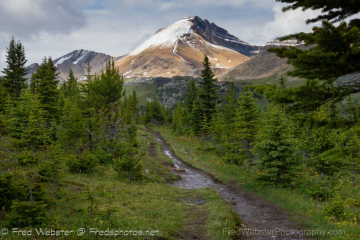 dolomite peak on trail to helene lake