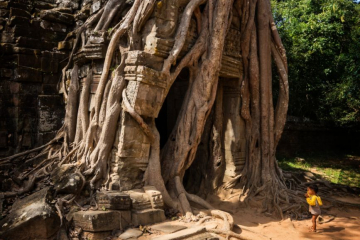 boy at ta prohm