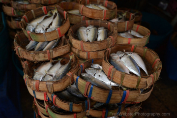 fishing for food in the markets