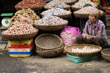 Garlic Lady