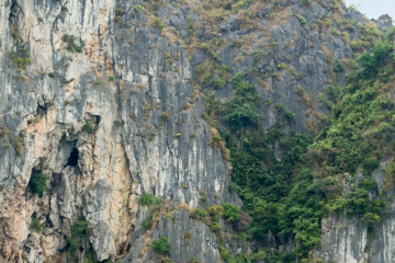 Fisherman of Halong Bay