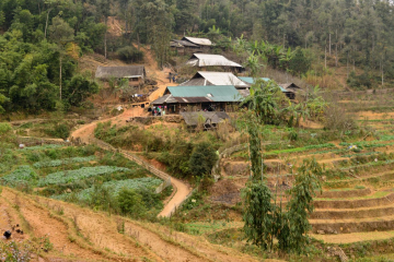 Hmong village