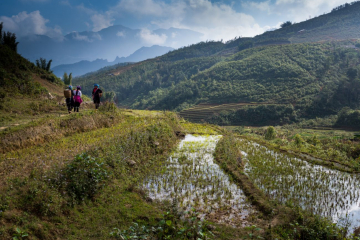 Rice Field Trail