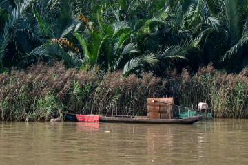 checking the fishing traps