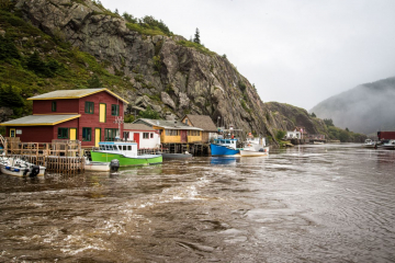 Quidi Vidi Habour