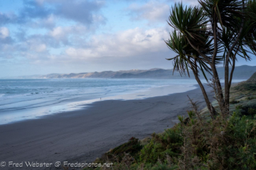 Raglan coast