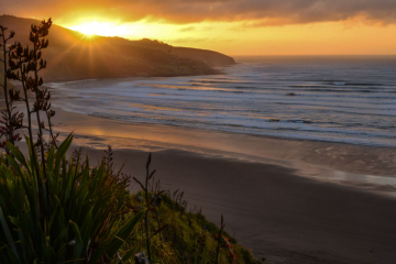 Raglan_s golden sunset