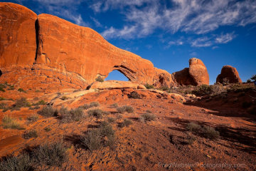 Windows of arches