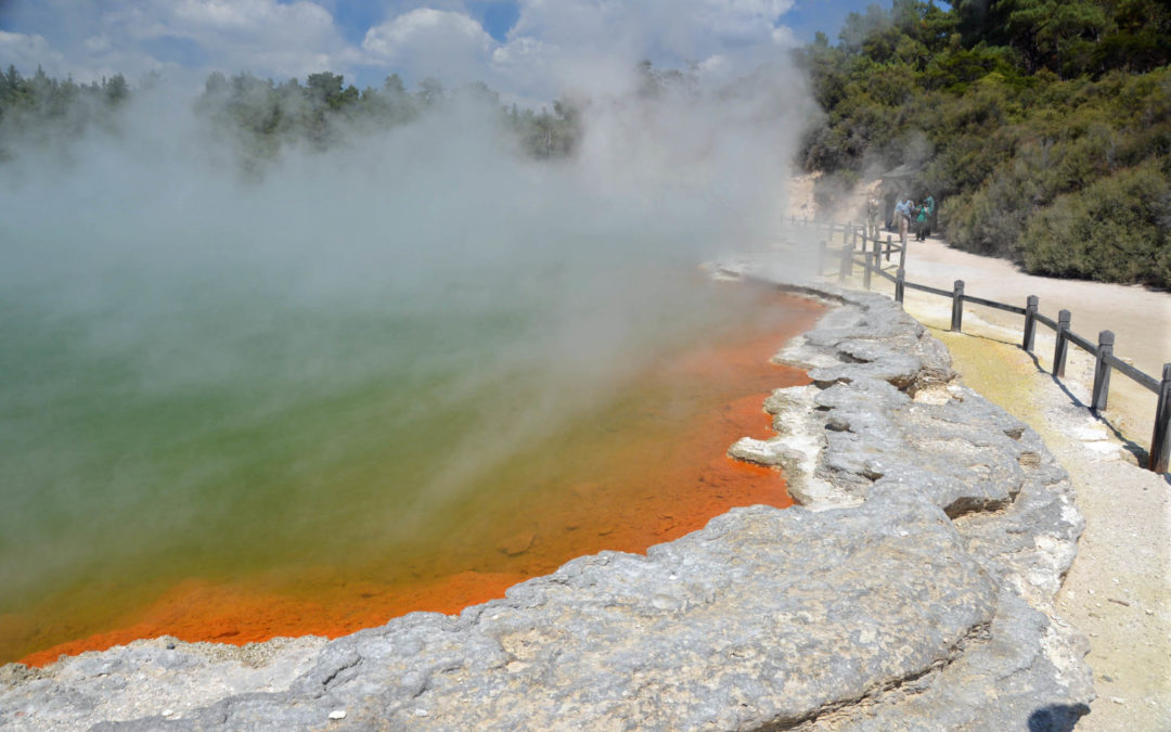 Roaming Rotorua