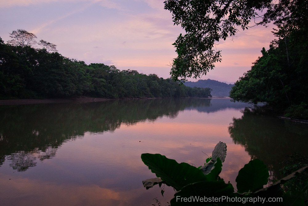 Amazon Rainforest Exploration